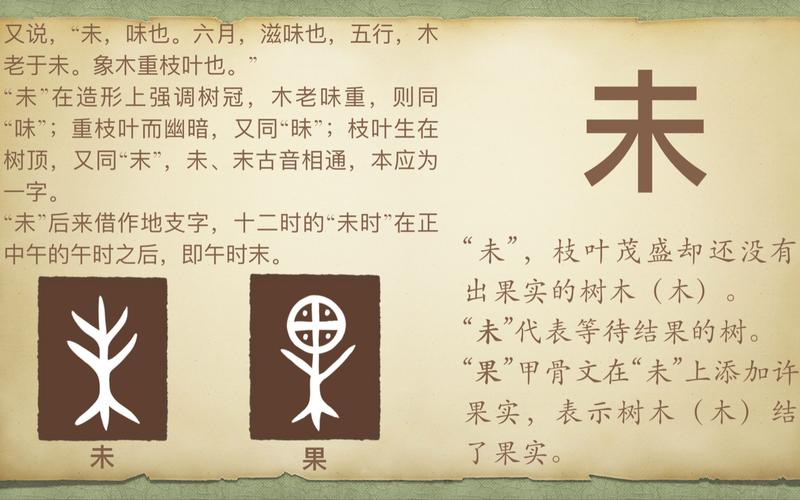 未字取名寓意女孩，有哪些美好的寓意和象征？