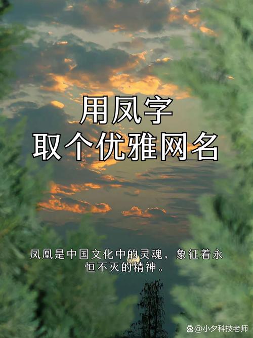 凤字女孩名字寓意高贵，用凤字取名，有何特别寓意？