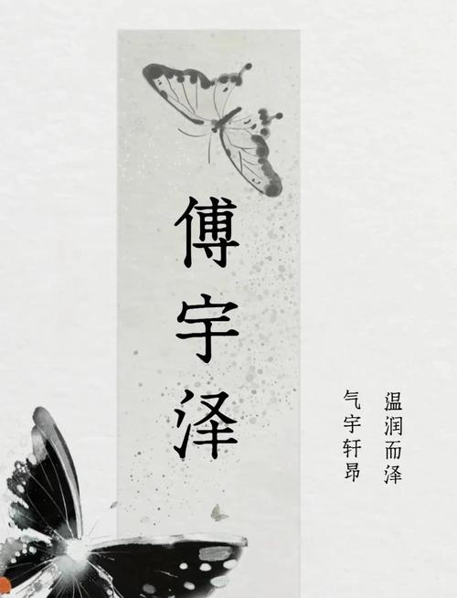 傅姓宝宝取名，有没有什么既独特又冷门的男宝宝名字推荐呢？