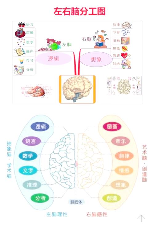 男孩左撇子命理八字有哪些显著特征？