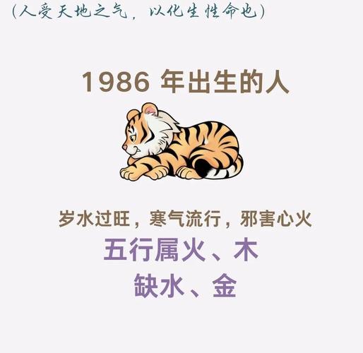 1986年属虎的五行是什么我的命是什么？