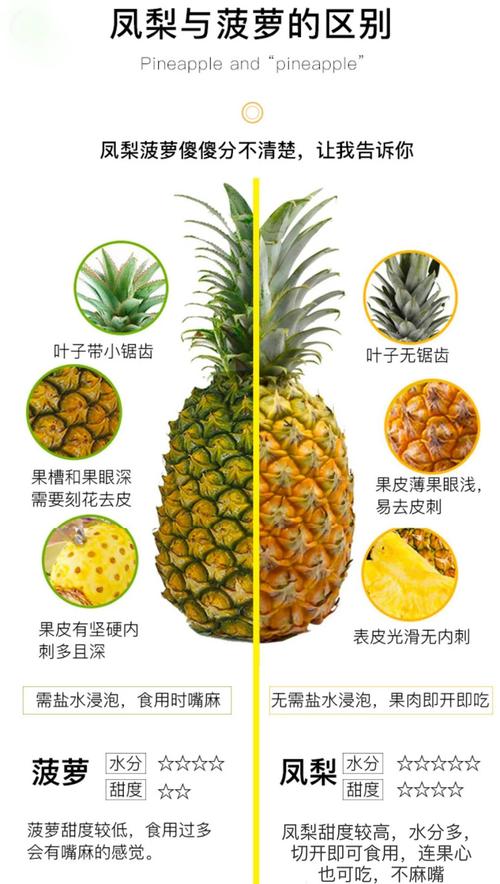 家里种植菠萝会对风水产生怎样的影响呢？