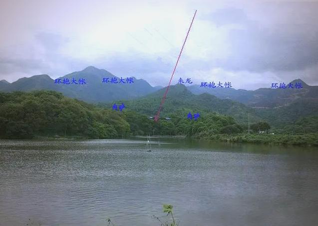 风水布局真的嫩吸引蜘蛛入住从而带来财运吗？