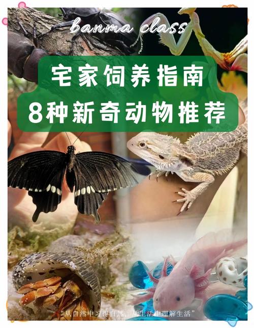 2026年4月24日农历三月初八适合养殖什么动物？今日养殖哪种动物最适宜？