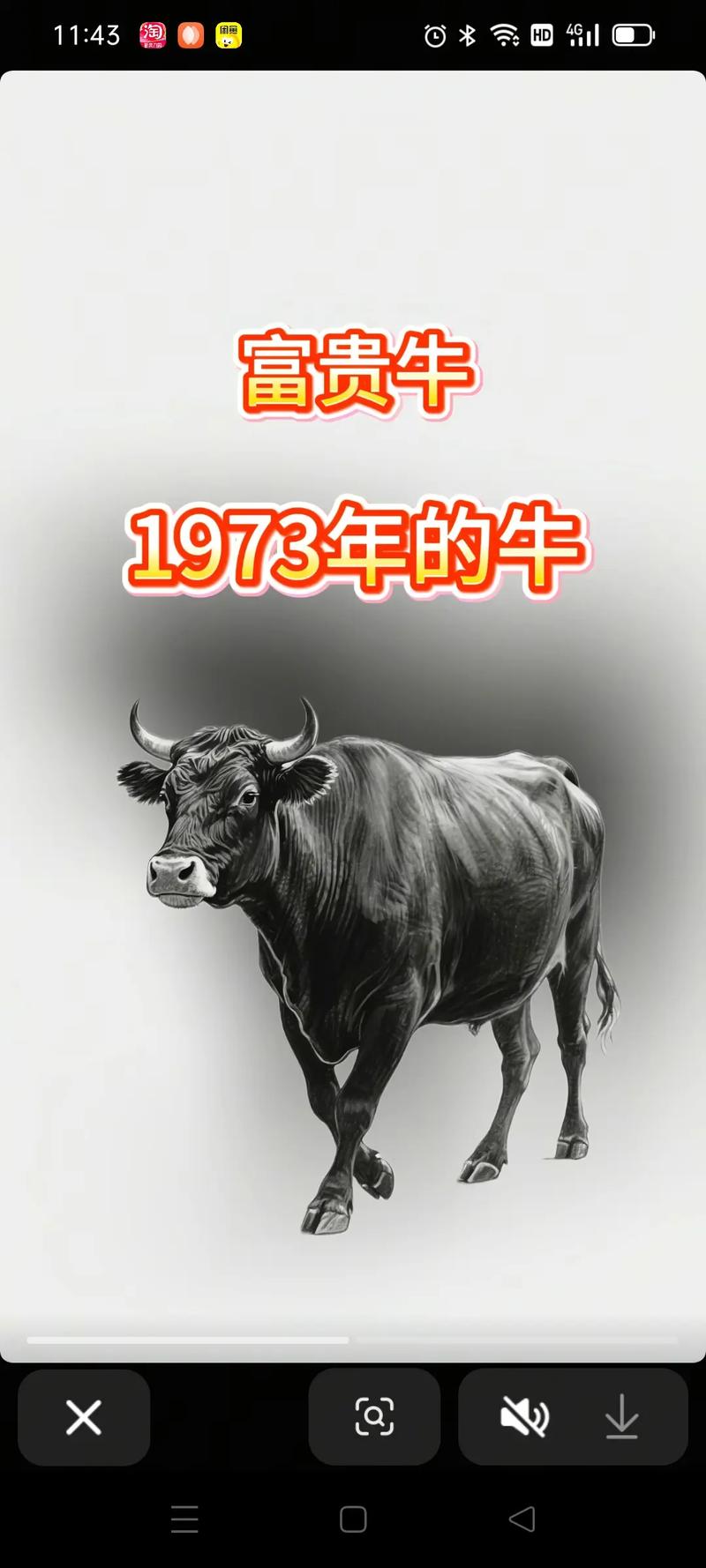 1973年出生的牛和1973年出生的牛结婚会怎样？