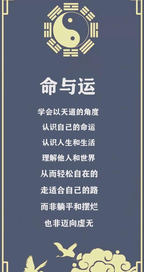 命运与运气哪个更重要，决定人生走向的关键因素是什么？