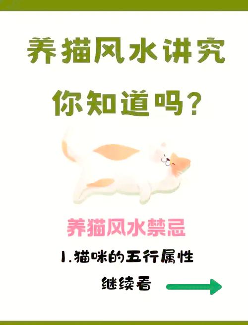 餐厅风水适宜养猫吗？有什么讲究？