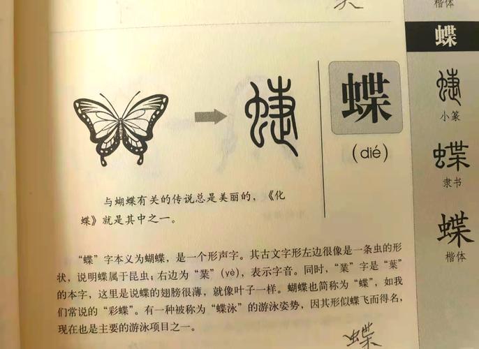 蝶字五行属什么？女孩取名用蝶字寓意美好，有哪些创意推荐？