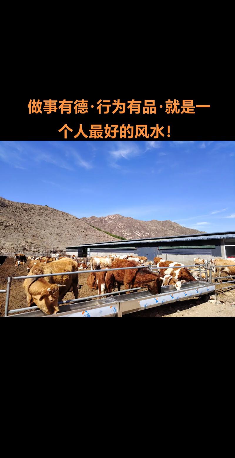 住宅附近养牛场会对风水产生不良影响吗？