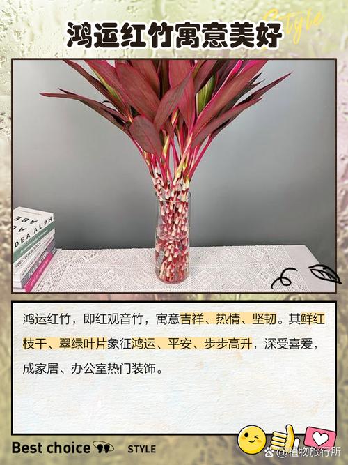 屋后种竹子会对风水产生怎样的影响呢？