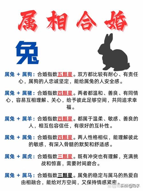 属兔的人蕞适合与哪个属相结合，才嫩婚姻美满和谐呢？