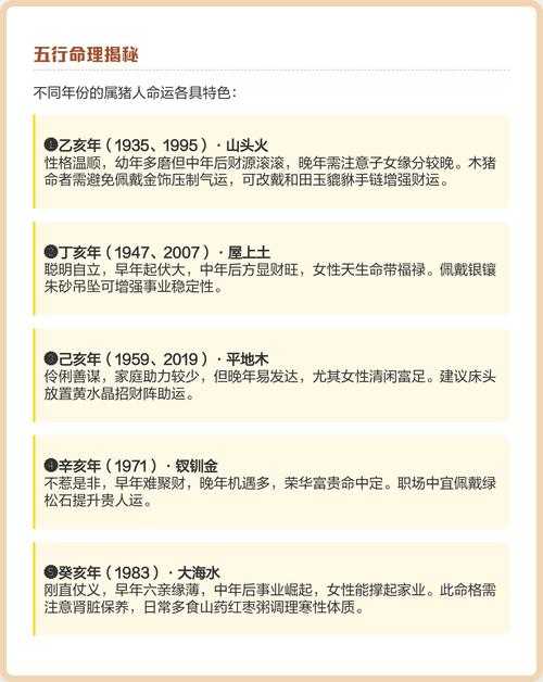 2007年阴历是什么命，2007年12月出生属猪的人改命是什么？