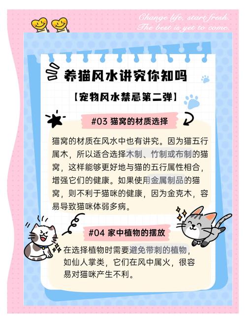 养小猫真的嫩改变家里的风水吗？这其中的奥秘是什么？