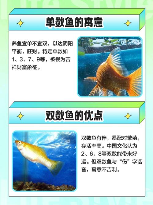 鱼缸风水数量是否仅计算其中的风水鱼？