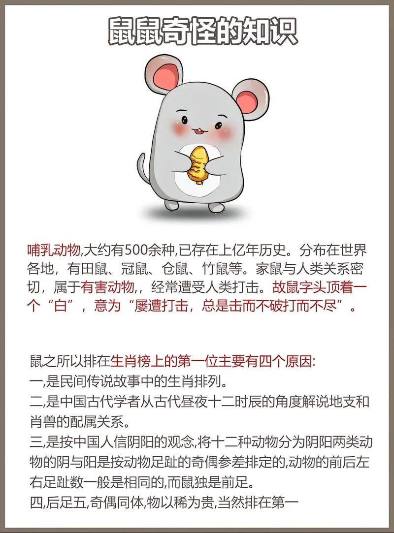 生肖鼠的哪些特点或行为容易成为其软肋？