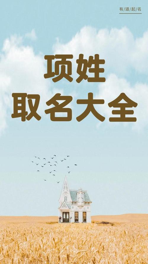 项姓男孩名字中蕴含美好寓意的，有没有什么特别推荐的名字呢？