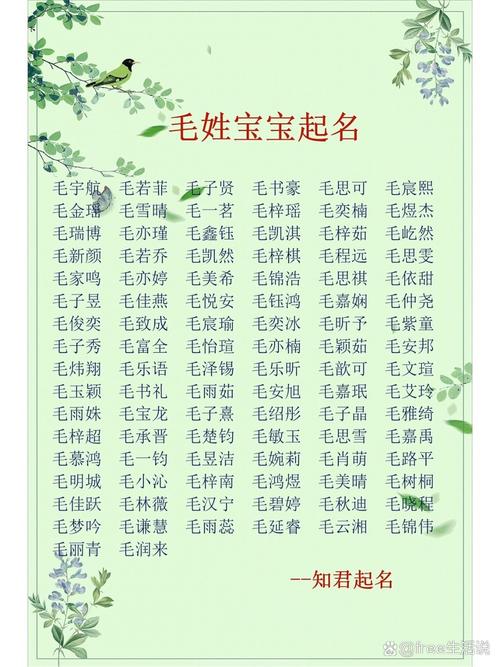 毛姓优雅大气的男孩名字，有没有什么好听的推荐？