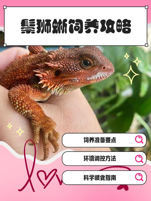 家里养蜥蜴会对家居风水产生怎样的影响呢？