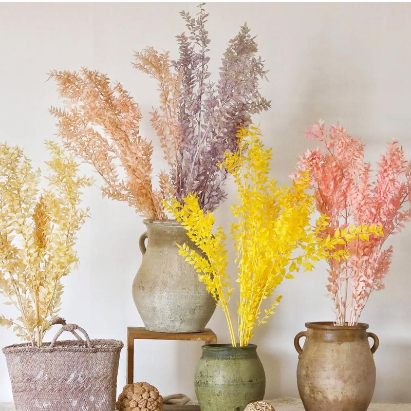 家里摆放干鲜花对风水有影响吗？