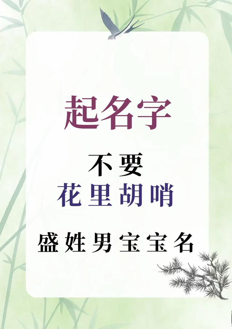 姓盛的男孩起一个独特优美的名字，有没有什么好建议呢？