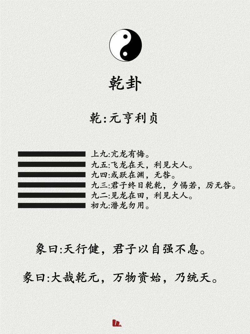 八字命格中潜龙勿用是什么意思，有什么具体含义？