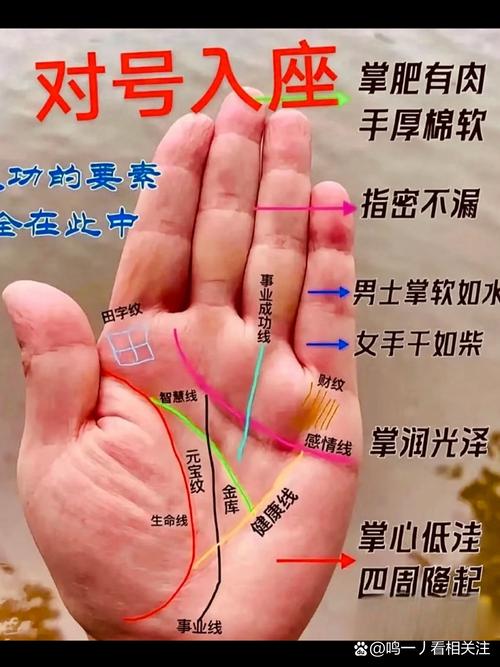 男人手掌厚且手相中有哪些特征预示着有土豪命？