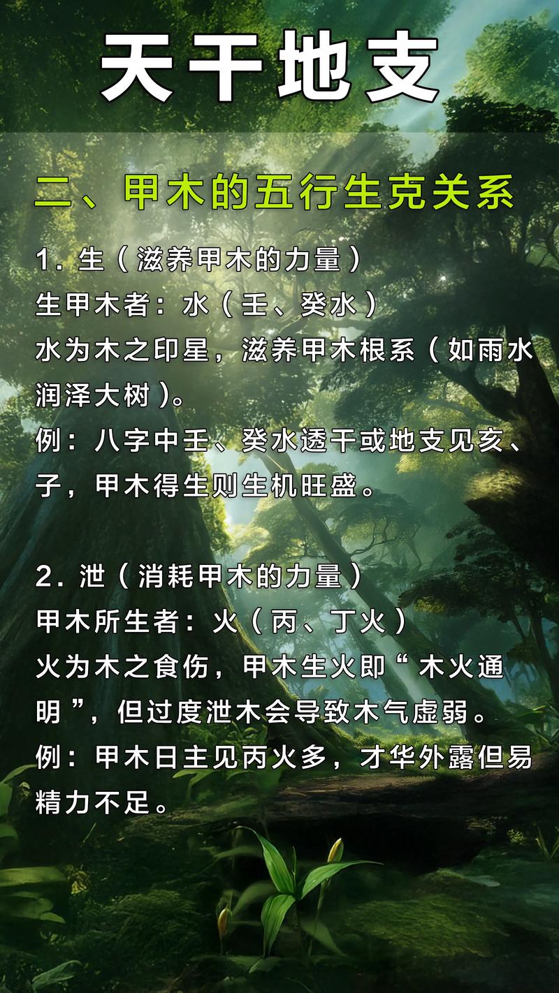 甲木适合的地域风水条件有哪些？