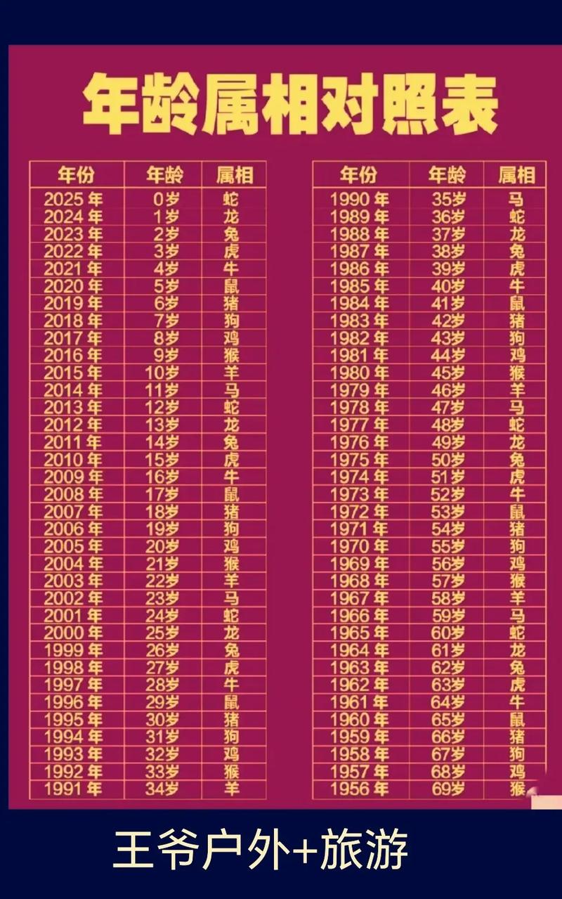 九五年属什么生肖什么命，九七年属什么生肖，现在多少岁了？