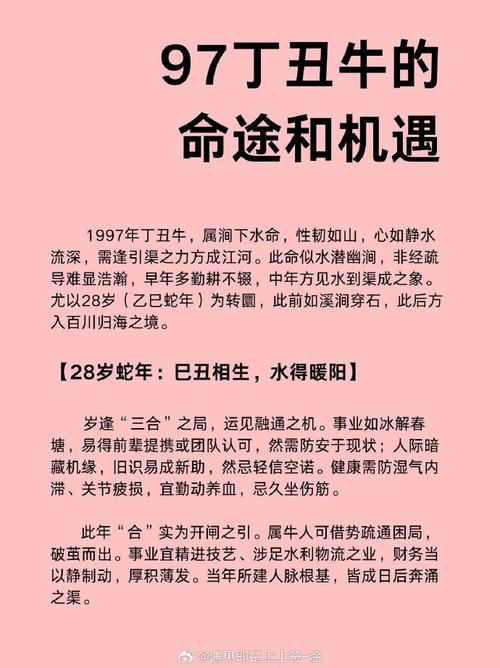 1997年出生的人是什么命，1997年属什么命？