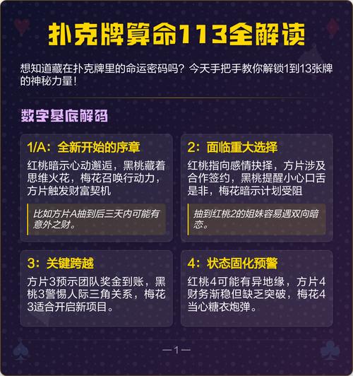 ‘将十三条命’这个表述指的是什么其中‘十三’这个数字有什么特殊含义？