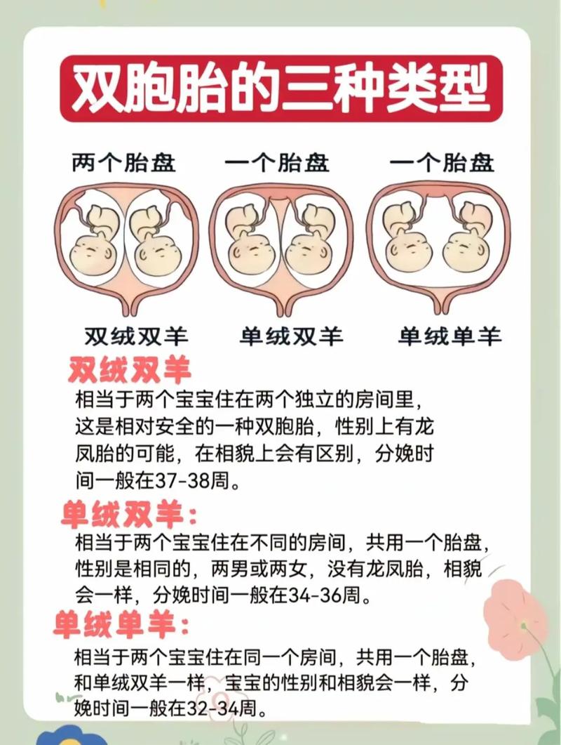 双胞胎为何会有不同的命格？