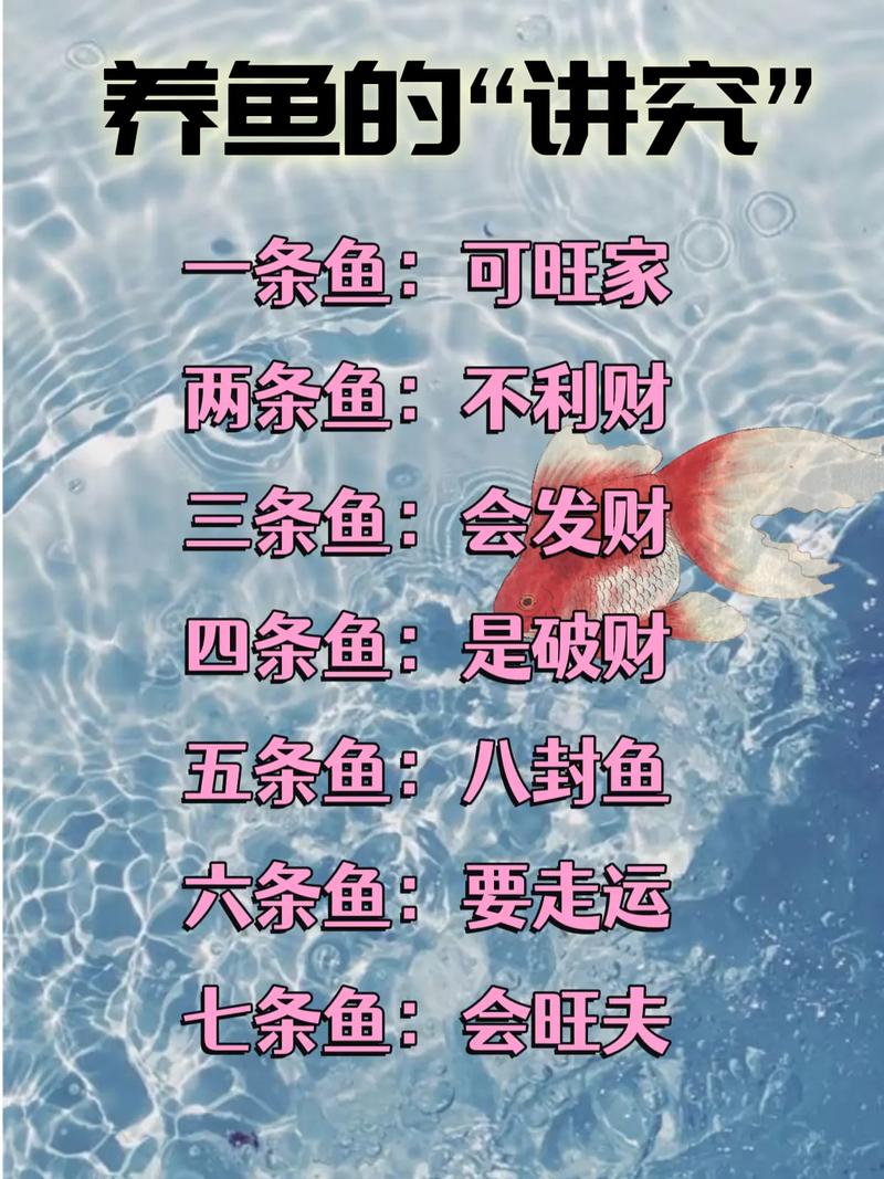 家里养大鱼风水如何，是否吉利？