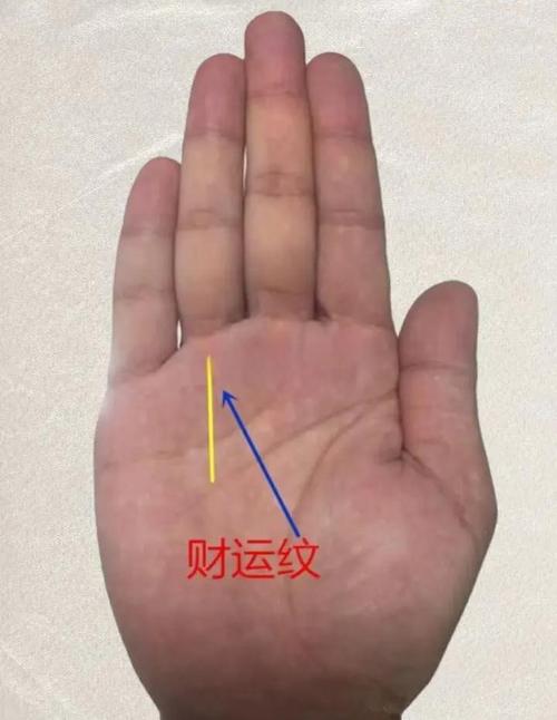 男人手掌厚且手相中有哪些特征预示着有土豪命？