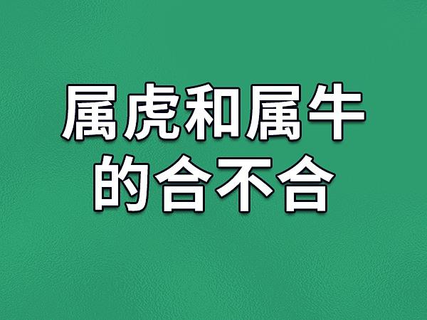 属虎和属牛的相性到底合不合，有没有什么忒别的讲究呢？