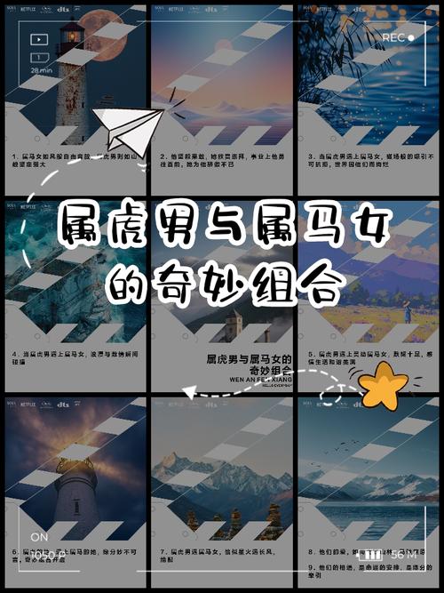 属虎和属马的人相配吗，他们的性格和命运会有怎样的奇妙交织呢？