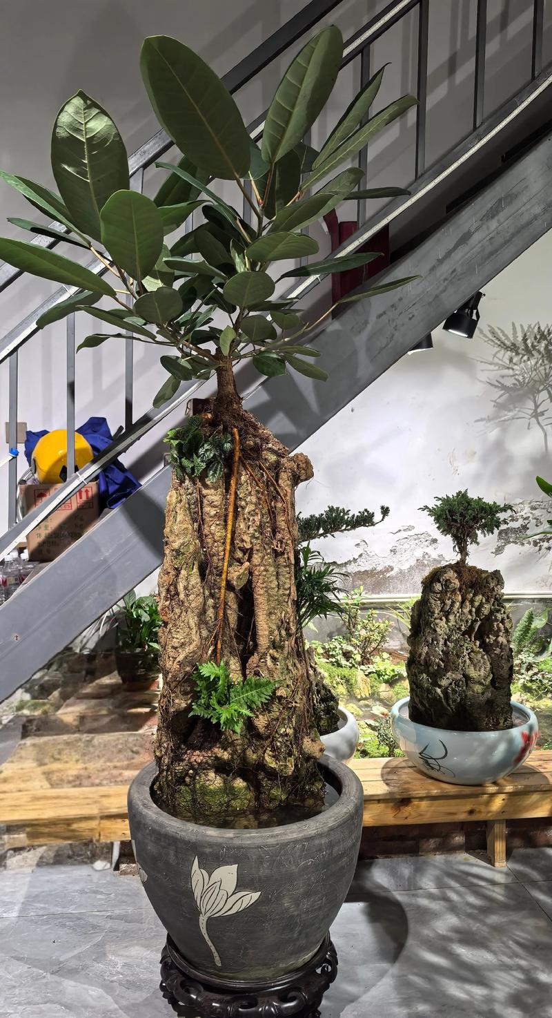 阳台摆放风水石有什么讲究和注意事项？