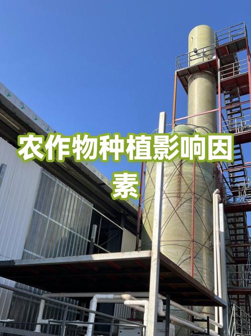 2026年农历正月初六耕种是否适宜，对农作物生长有影响吗？