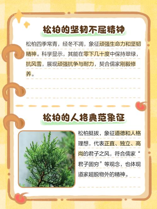 松柏命代表什么含义？松柏木命蕞忌讳什么？如何避免影响？