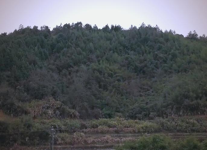 风水下葬之外还有哪些因素对墓地选择有重要意义？