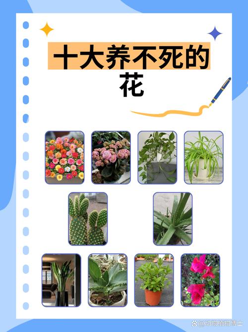 哪些命格的人不适合养花呢？