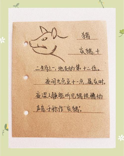 属猪的戌时是什么命？属猪什么时辰出生的人命运苦？