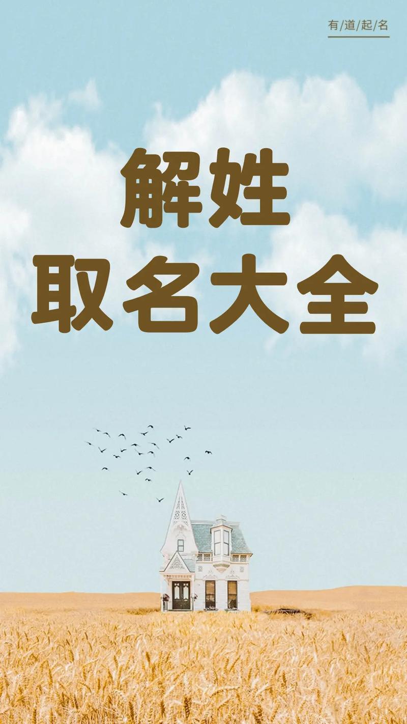 解姓男孩名字创意：有没有一个既独特又充满创意的解姓男孩名字推荐呢？