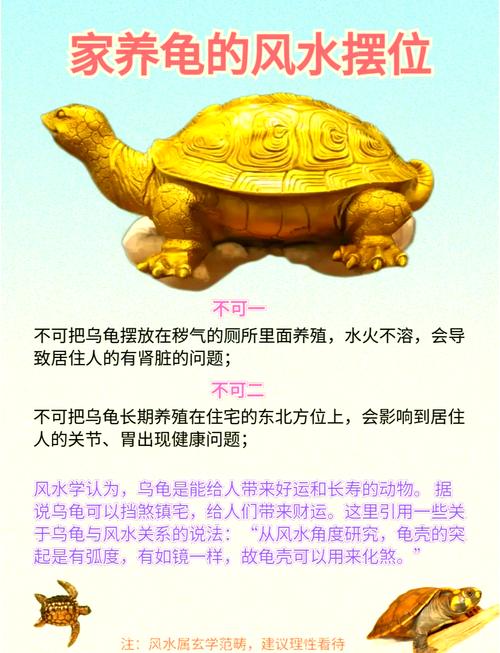 家里摆放乌龟风水上合适吗？有什么讲究和禁忌需要注意？