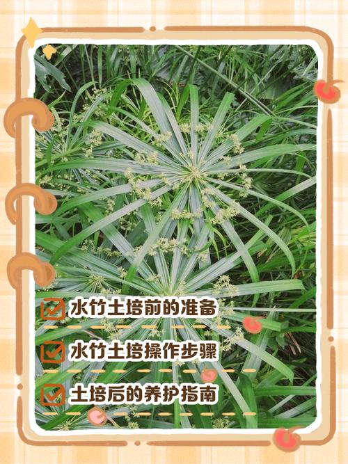 河边种植毛竹风水如何？适合种植吗？