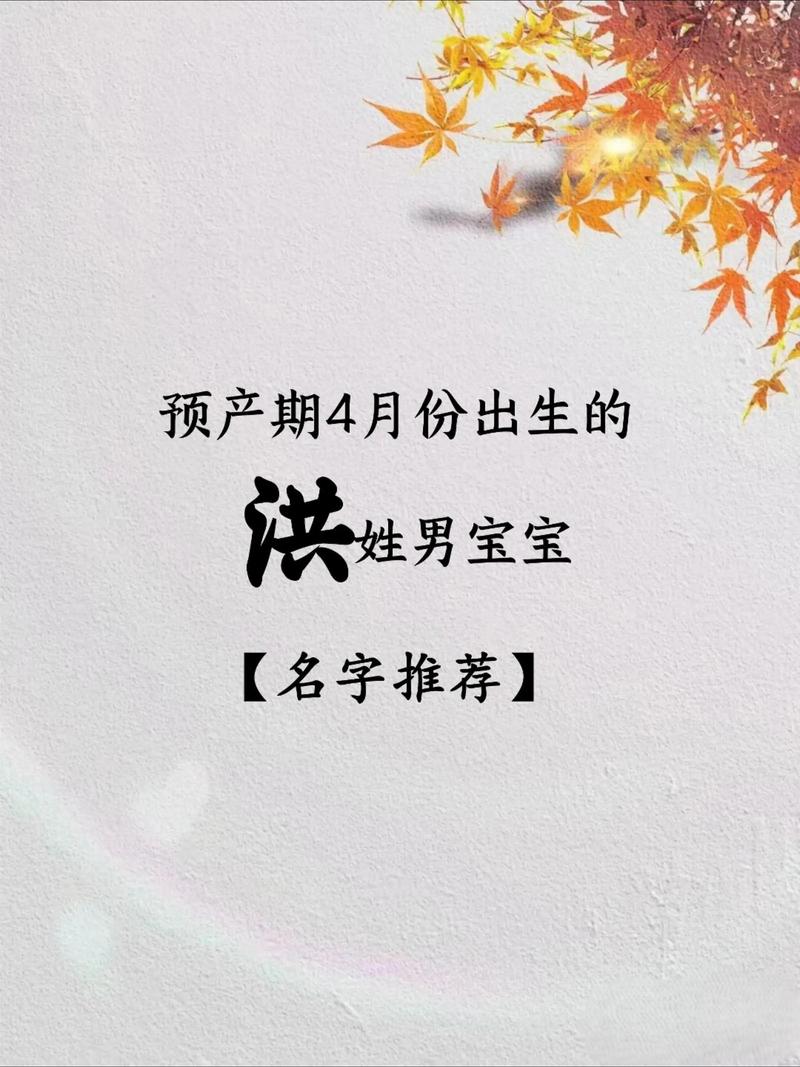 洪姓男孩取名，有没有既新颖又寓意美好的名字推荐呢？