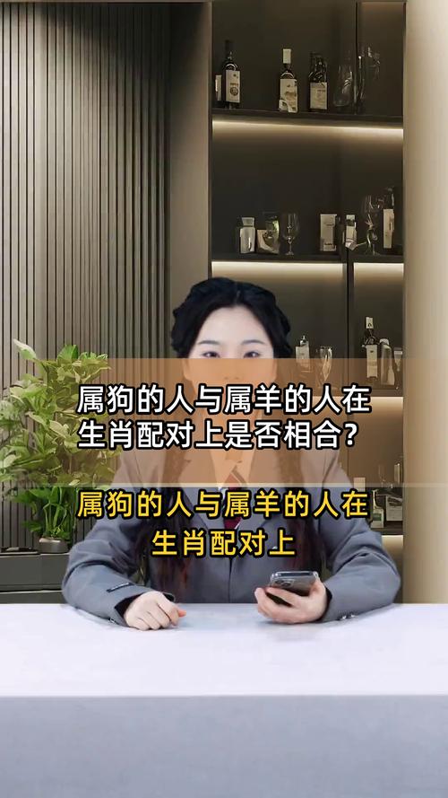 属狗和属羊的结合是否真的千万不能在一起呢？
