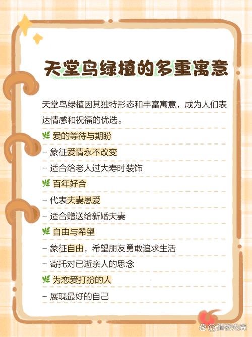 阳台风水适宜养鸟吗？有什么讲究和禁忌？