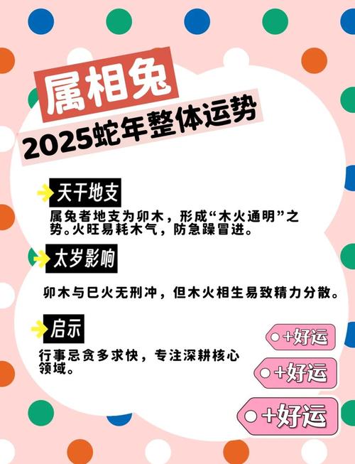 兔年辰时出生的人命运如何才嫩转运？