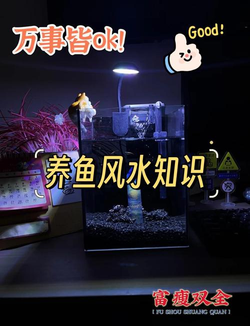 大缸养鱼的风水如何调整才能更好地招财？