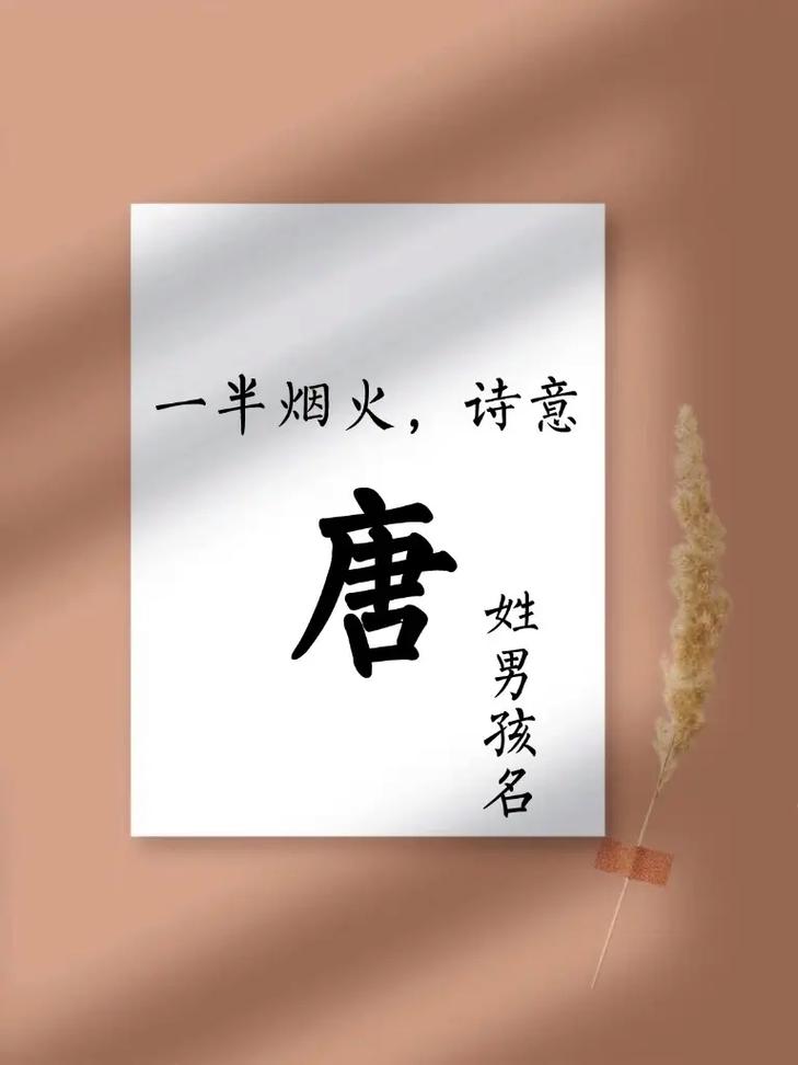 唐姓男宝宝名字中哪个寓意吉祥，最适合作为吉祥物昵称？